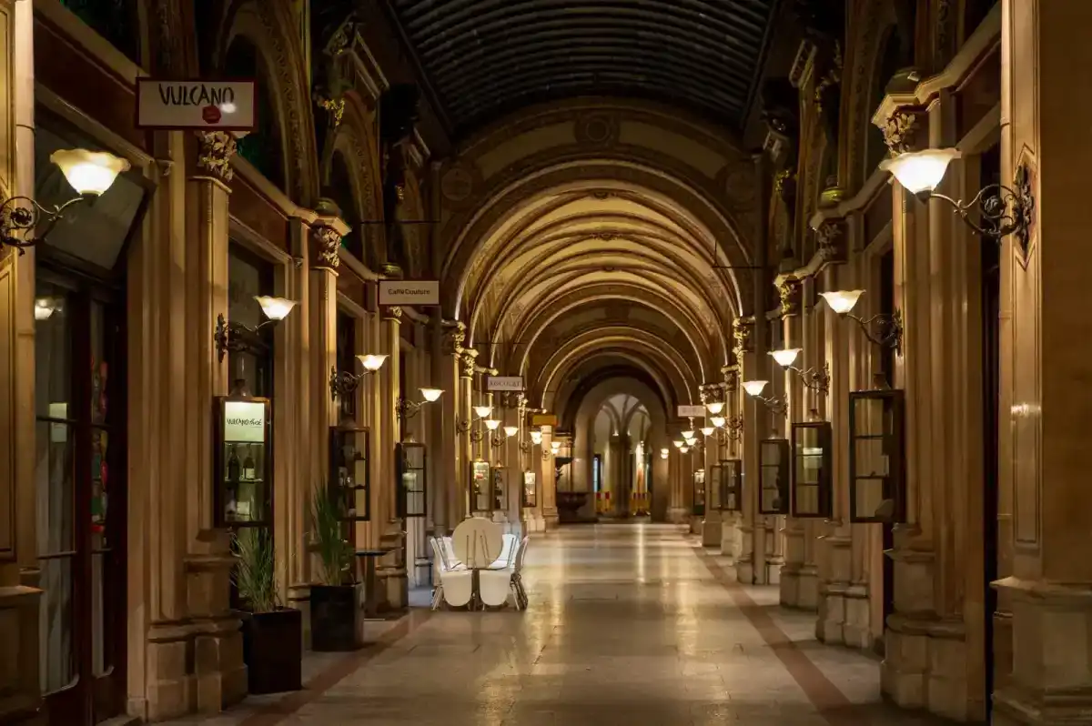 Boulevard mit Baumkronen und präziser Wegbeleuchtung